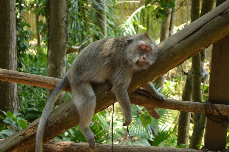 Bali, Indonesia